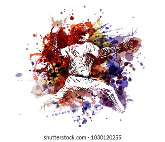 Vector color illustration of a baseball player