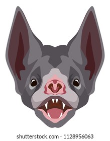 vector color illustration of a bat head with an open mouth