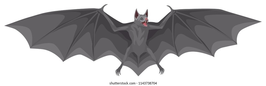 vector color illustration - bat with open wings and open mouth