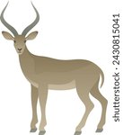 Vector color illustration of beautiful impala or antelope standing. African wild animal isolated on white background. Wildlife of Africa.