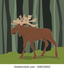 Vector color illustration of the brown moose walking through the forest trees. Illustration for  magazines, shops, books for kids, fashion, schoolbooks, nature design.