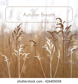 Vector color illustration with brown and white grass and text in frame Autumn Breath on the color blurred gradient mesh background.
