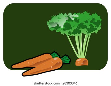 Vector color illustration of a carrot.