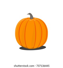 Vector color illustration of cartoon Halloween pumpkin on white background. Object image to create original graphic design