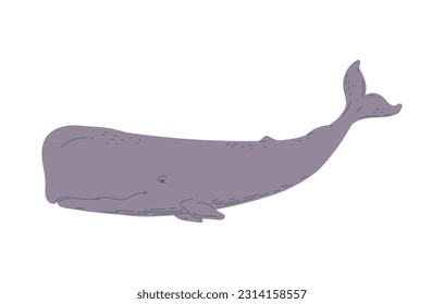 Vector color illustration of cashalot, isolated on white background. Side view, profile of swiming marine mammal. Cartoon character, hand drawn design style for ocean wildlife concept.