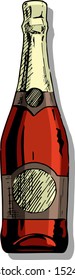Vector color illustration of champagne bottle in ink hand drawn style. isolated on white.