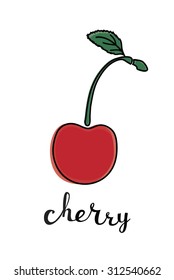 Vector color illustration of cherry with inking and lettering name in English on white isolated background