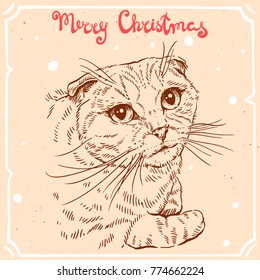 Vector color illustration of christmas cat,text Merry Christmas on background with abstract paper texture,retro frame.British shorthair cat, sketch.Linear art in vintage style for design.