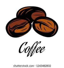 Vector color illustration of a coffee bean.