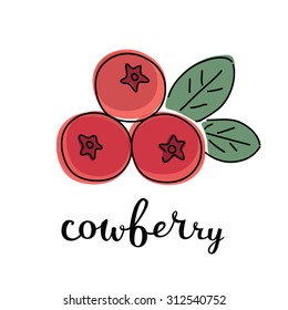 Vector color illustration of cowberry with inking and lettering name in English on white isolated background
