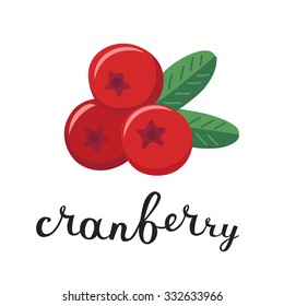 Vector color illustration of cranberry with inking and handwritten lettering name in English on white isolated background
