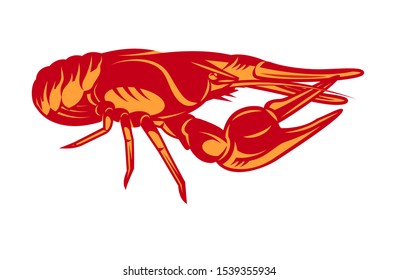 Vector color illustration with crayfish on white background.