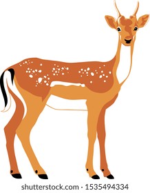 Vector color illustration of Deer side