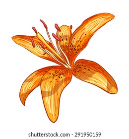Vector color illustration digital painting of flower