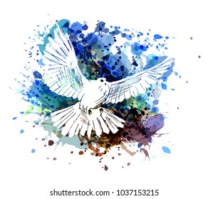 Vector color illustration of a dove