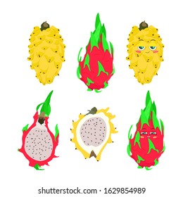 Vector color illustration of a dragon fruit whole and half on a white background in a flat style. Bright set of exotic fruit for design.