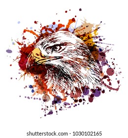 Vector color illustration of an eagle head