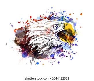 Vector color illustration of an eagle head