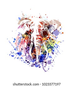 Vector color illustration elephant
