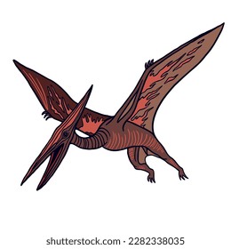 Vector color illustration of extinct genus of pterosaurs for educational books and websites. Image of flying fossil reptile for stickers and prints