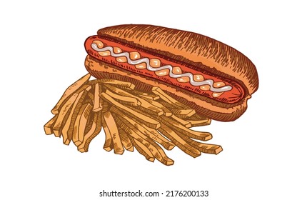 Vector color  illustration of fast food on white background, graphical french fries and hot dog