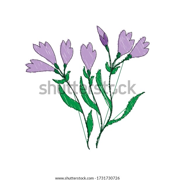 Vector Color Illustration Flower Stock Illustration Stock Vector ...