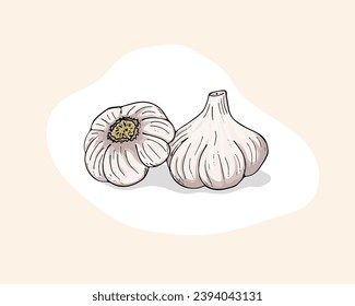 Ilustración de color vectorial del ajo. Garlics aislados en un fondo blanco. Icono de verduras. Ilustración vectorial dibujada a mano de ajo.