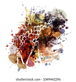Vector color illustration of a giraffe