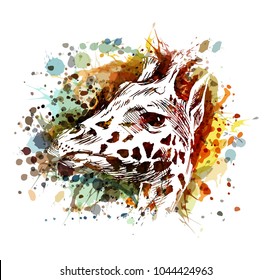 Vector color illustration of a giraffe head