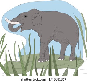 
vector color illustration, gray elephant hand-drawn. Animals in nature