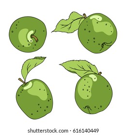 vector color illustration of green apple fruit