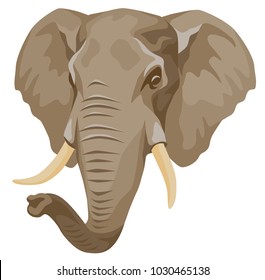 vector color illustration - the head of an African elephant facing forward with turn