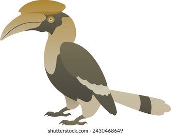 Vector color illustration of hornbill bird standing. African wild animal isolated on white background. Wildlife of Africa.