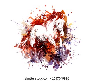 Vector color illustration of a horse