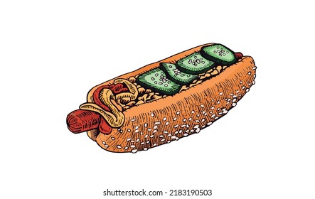 Vector color  illustration of hot dog with cucumber on white background, graphical food element