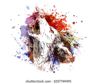 Vector color illustration of a howling wolf