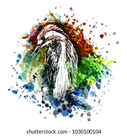 Vector color illustration of kingfisher