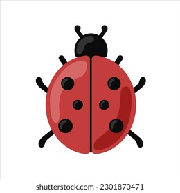 Vector color illustration of a ladybird.