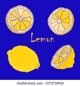 Vector color illustration with lemons. Slice, half, whole lemon. Set of hand-drawn Doodle-style Elements for packaging design of tea, juice, health products and cosmetics. Without outline. Isolated on