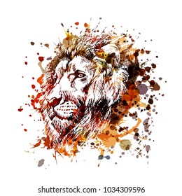 Vector color illustration lion head
