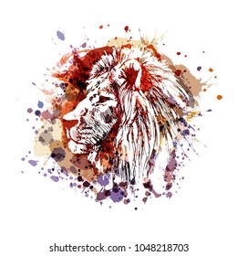 Vector color illustration of lion head