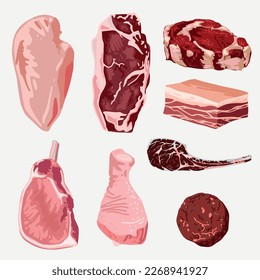 vector color illustration of meat, pork tenderloin, chicken, breast, minced meat, knuckle, lard