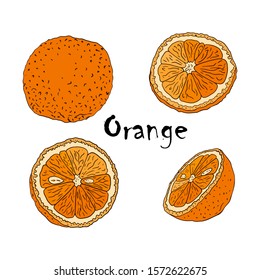 Vector color illustration with oranges. Slice, half and a whole orange. A set of hand-drawn elements in the style of Doodle for packaging tea, juices, health products and cosmetics. Isolated on white