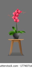 Vector color illustration of an orchid with foliage, in a pot on a wooden table with shadow.