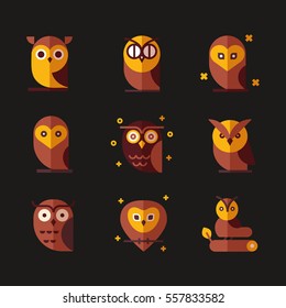 Vector color illustration of an owl made in modern flat style. Graphical bird collection.Unique illustration for design.