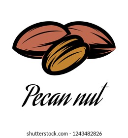 Vector Color Illustration Of A Pecan Nut.