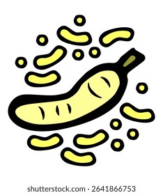 Vector color illustration of pod and fruits of broad beans on a white isolated background
