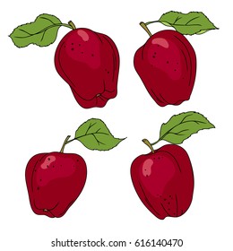 vector color illustration of red apple fruit