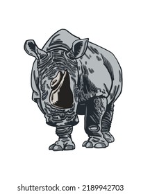 Vector color  illustration of rhino isolated on white background, grey rhinoceros 