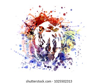 Vector color illustration rhinoceros